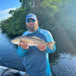 Redfish, We fished in Matlacha today!